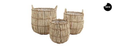 031532 Front New